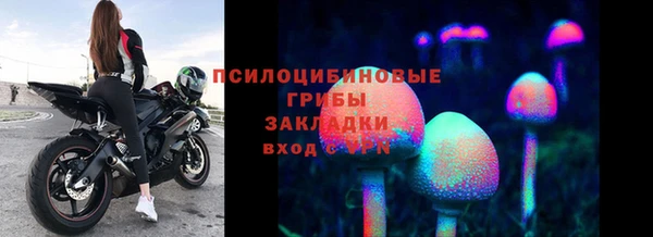 ГАЛЛЮЦИНОГЕННЫЕ ГРИБЫ Заводоуковск