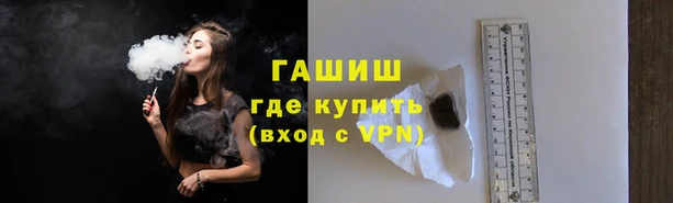СК Елизово
