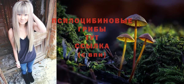 СК Елизово