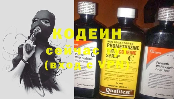 a pvp Ельня
