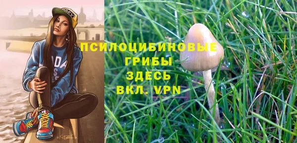 прущий лед Заволжье