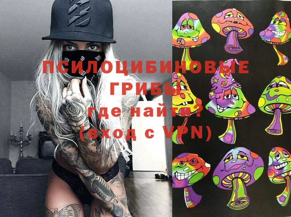 СК Елизово