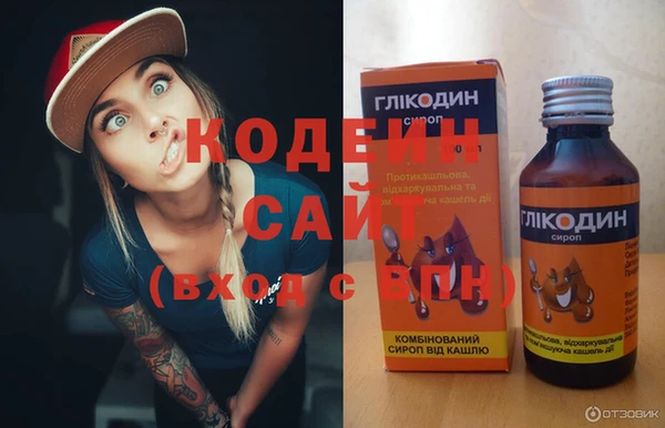 a pvp Ельня